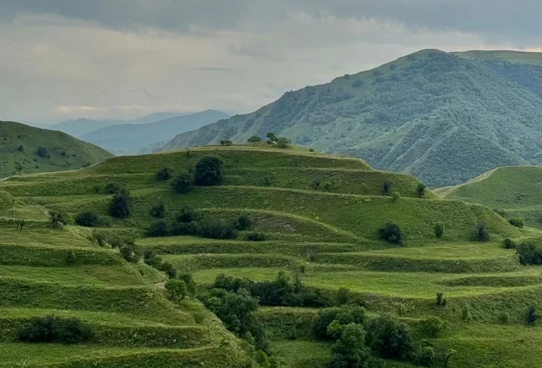 Чох.террасы 