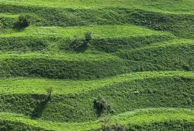 Чох.террасы