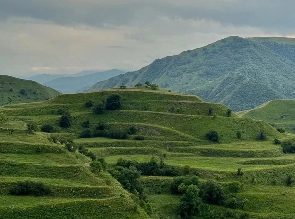 Чох.террасы