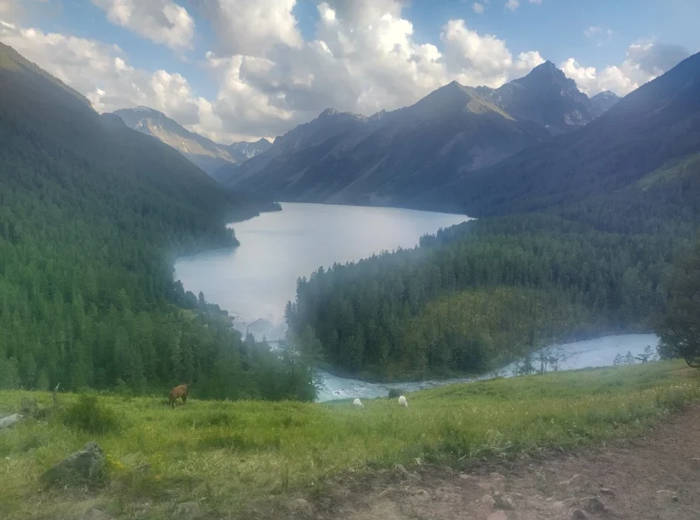 Кучерлинское озеро