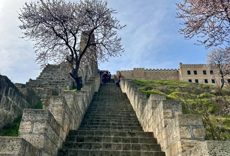 Крепость Нарын-кала