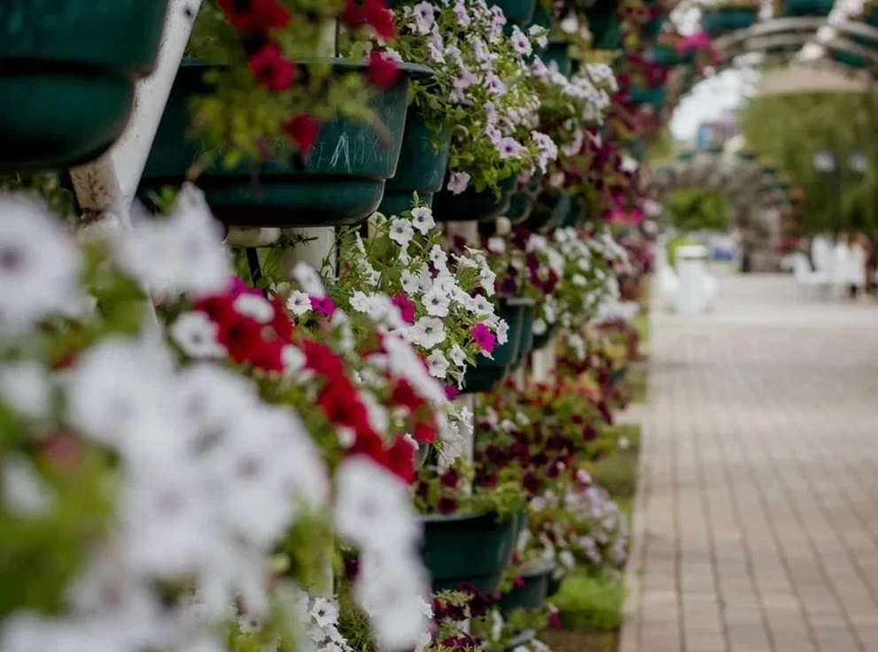 Цветочный парк 