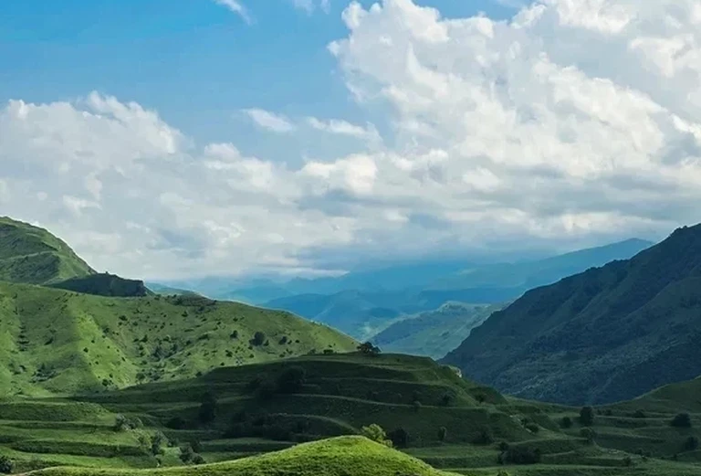 Чох.террасы