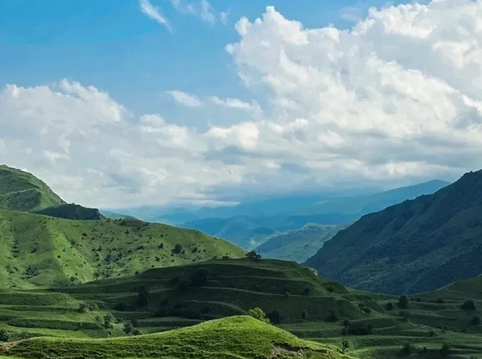 Чох.террасы