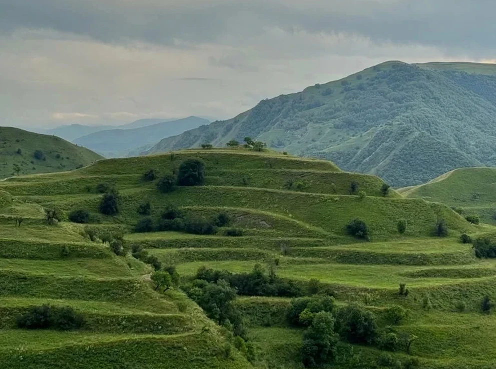 Чохские террасы 