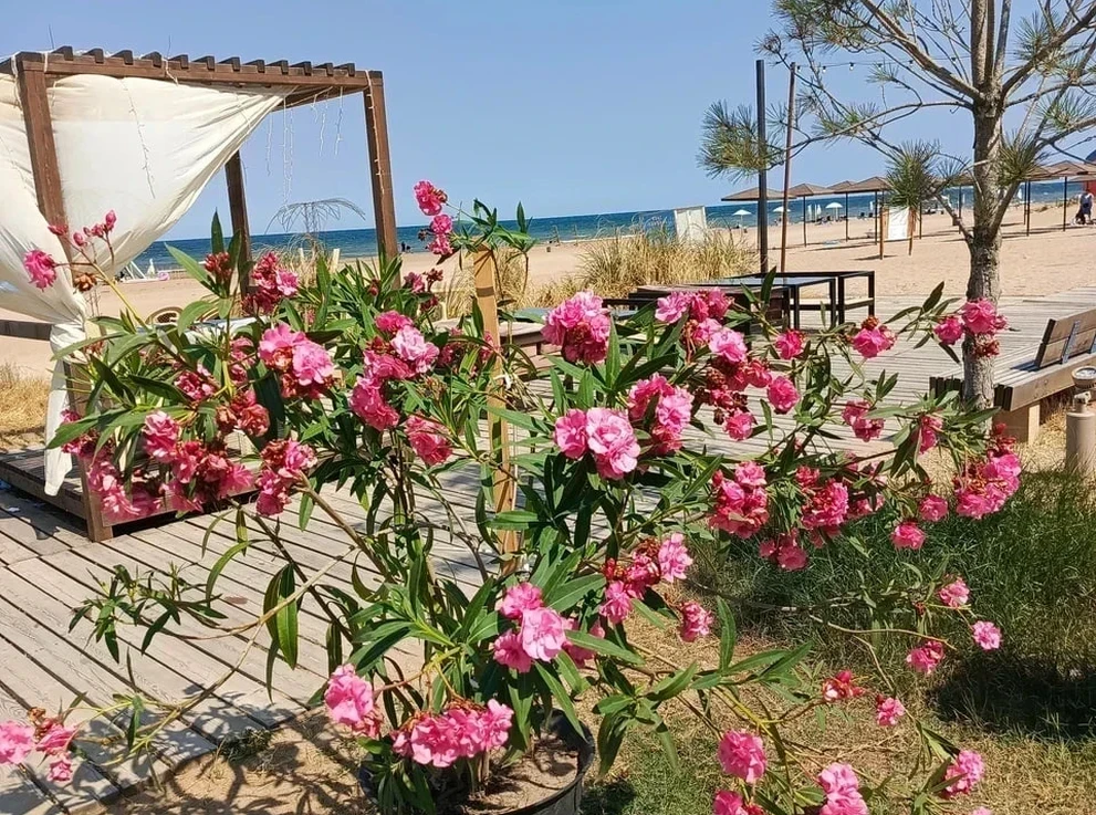 Городская набережная 