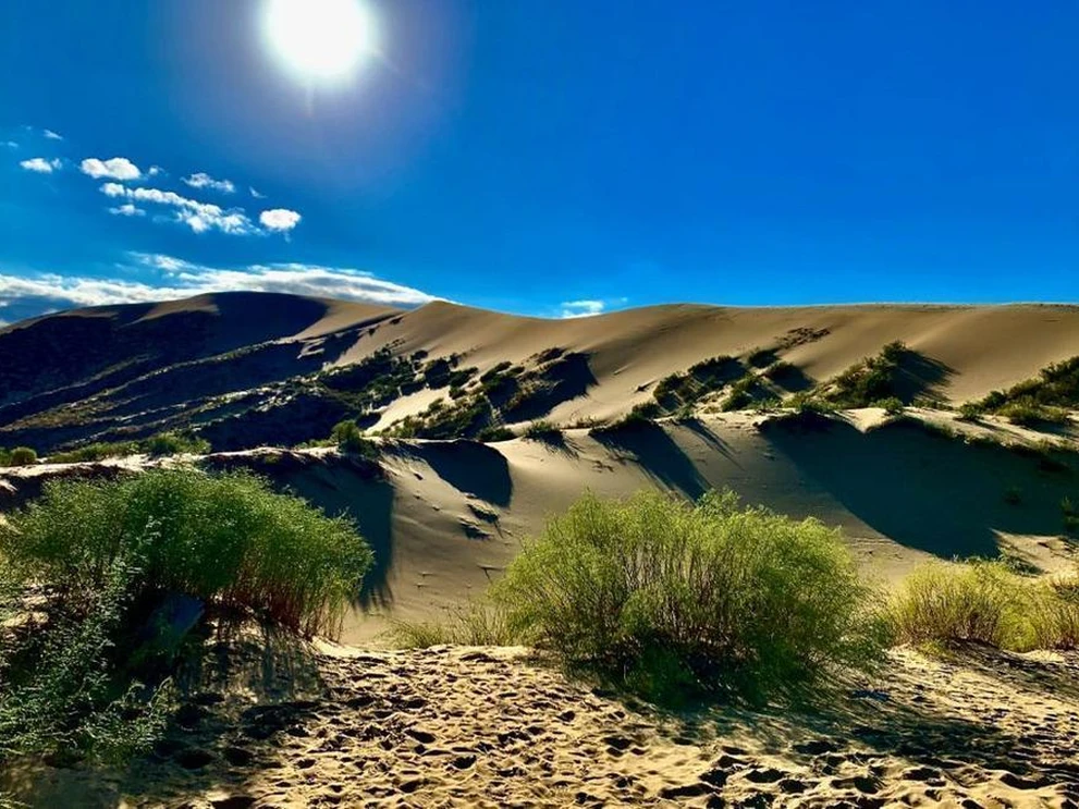 Бархан Сарыкум