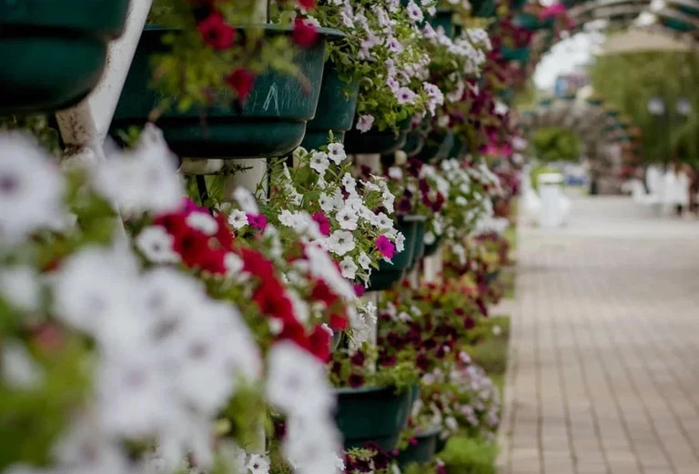 Цветочный парк 