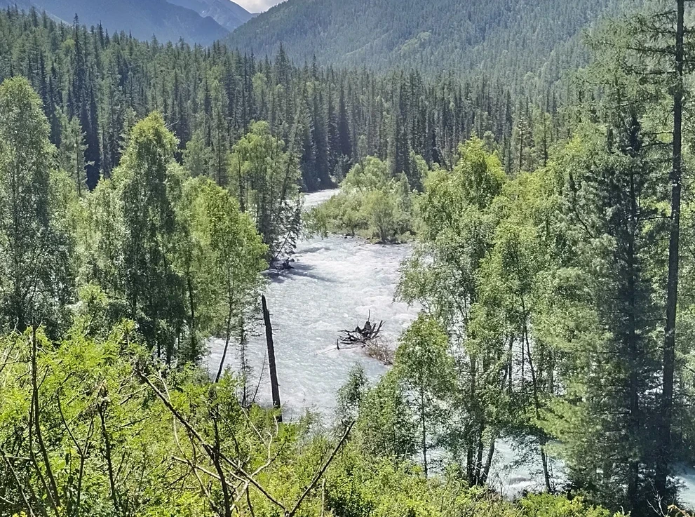 Река Кучерла