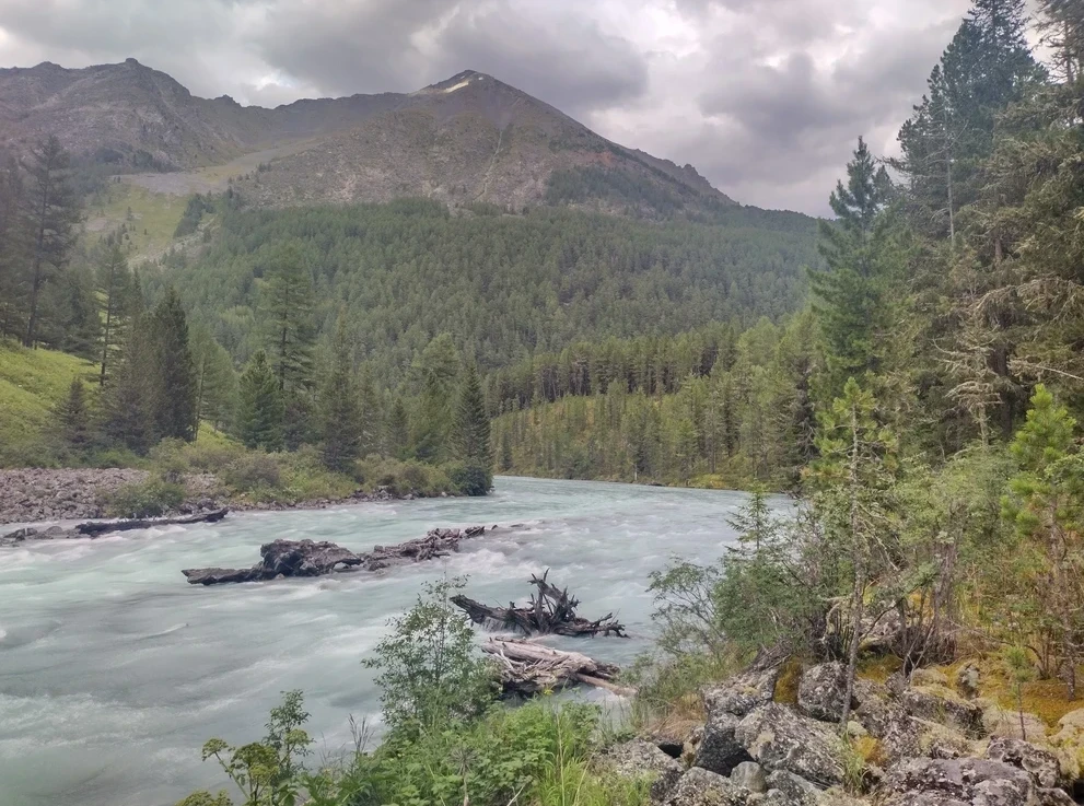 Река Кучерла