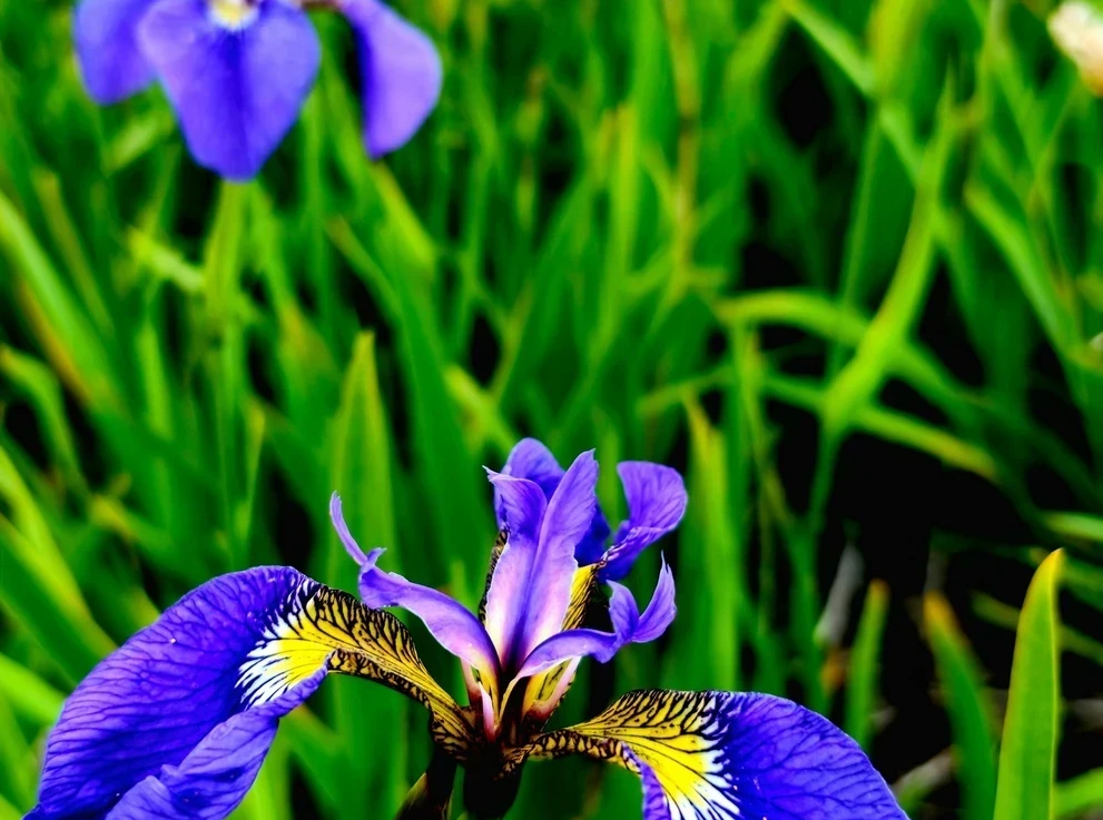 Фото