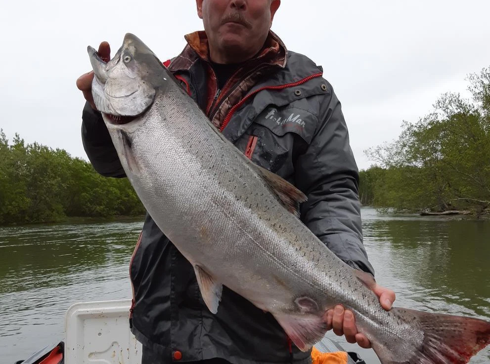 Чавыча, река Начилова