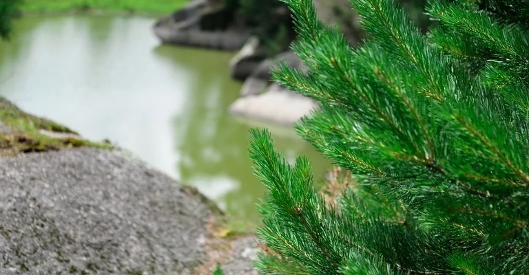 Шаманское озеро