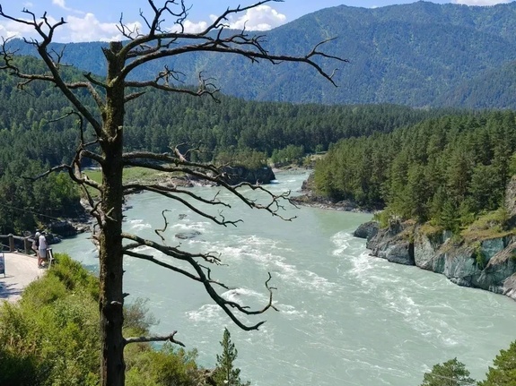 Летняя Катунь